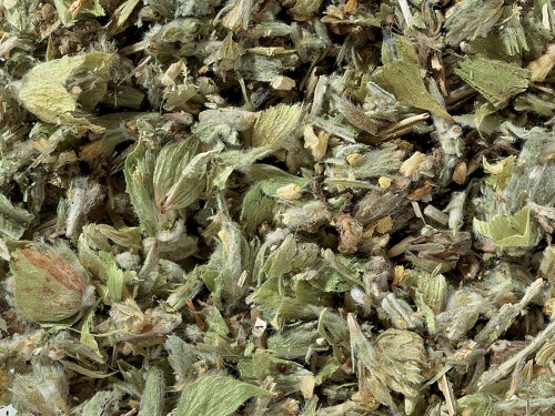 Gojnik z Gór Grecji – Napar, Po Który Sięgają Codziennie na Południu Europy