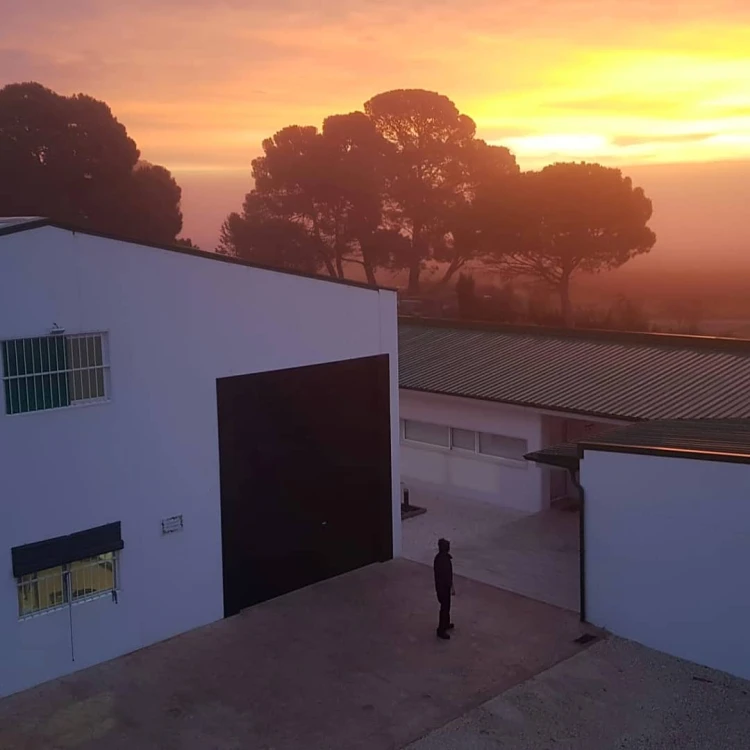 Proces tłoczenia oliwy na zimno Deortegas – produkcja extra virgin - Od zbioru do tłoczenia – minimalny czas, maksymalna świeżość.