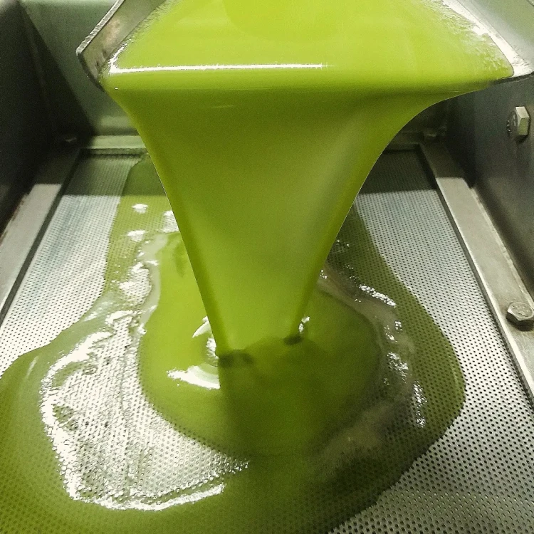 Tłoczenie oliwy - Naturalna oliwa extra virgin – zbliżenie koloru i klarowności