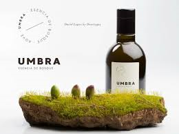 Naturalne składniki oliwy Umbra – inspirowana aromatem lasu i dzikich roślin