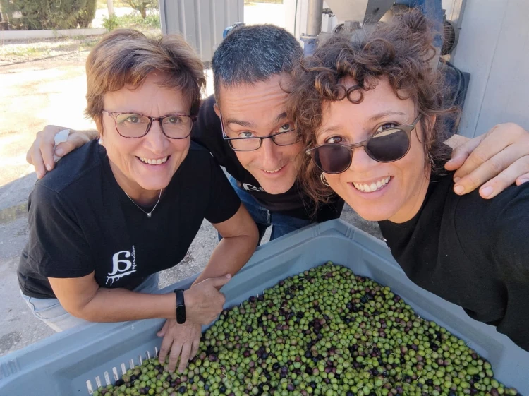 Ręczny zbiór oliwek Deortegas – tradycyjna produkcja oliwy extra virgin przez rodzinę Deortegas