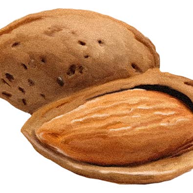 Migdały premium wykorzystywane w ciasteczkach Lady Joseph