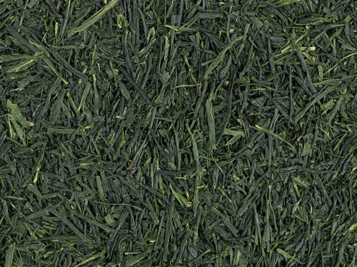 Japan Shincha Saemidori Organic 2026 – limitowana zielona herbata BIO z pierwszego wiosennego zbioru w Japonii, bogata w umami i naturalną słodycz.