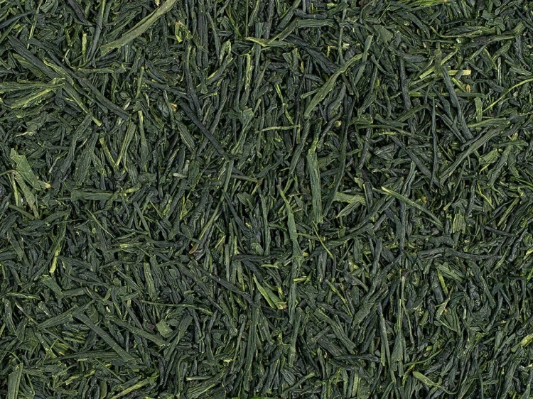 Japan Shincha Saemidori Organic 2026 – limitowana zielona herbata BIO z pierwszego wiosennego zbioru w Japonii, bogata w umami i naturalną słodycz.