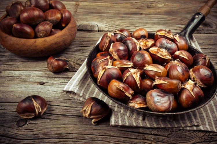 Pieczone kasztany jadalne – ilustracja smaku aromatyzowanej herbaty Pieczone Kasztany.