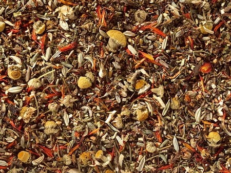 Time to RELAX ORGANIC – herbatka BIO z zielonym rooibosem i honeybushem